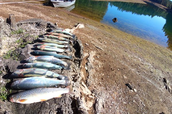 Multi Day Trout Fishing