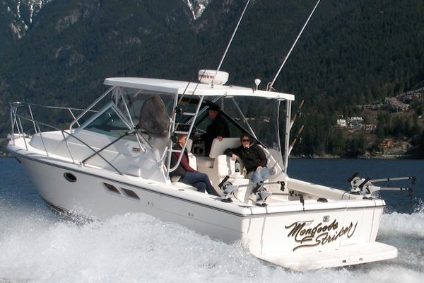 Mongoose Striker Fishing Charters