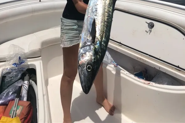 Wide Open Charters and Guide Service