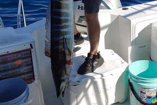 Deep Sea Fishing Charters