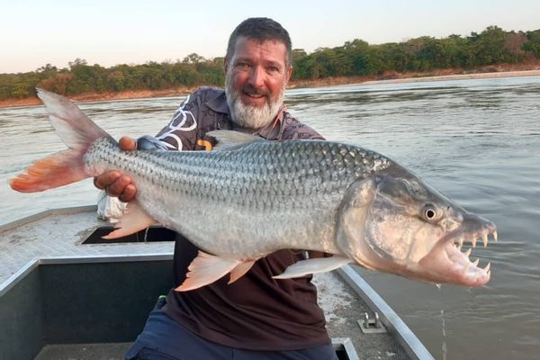 Ultimate Tigerfish Adventure