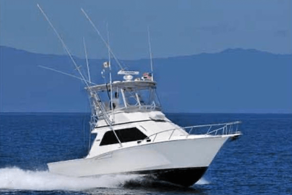 Luxury Fishing Charter The Electric