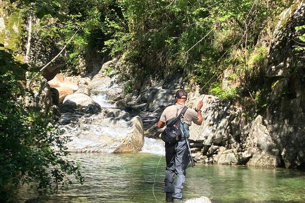 Valle Elvo: fishing alpine stream
