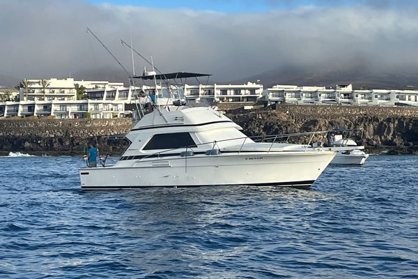 Macaronesia charter (La Gomera, Canary)