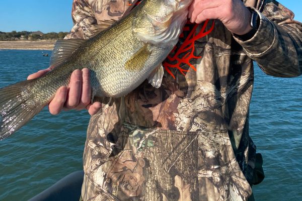 Canyon Lake Bass Fishing