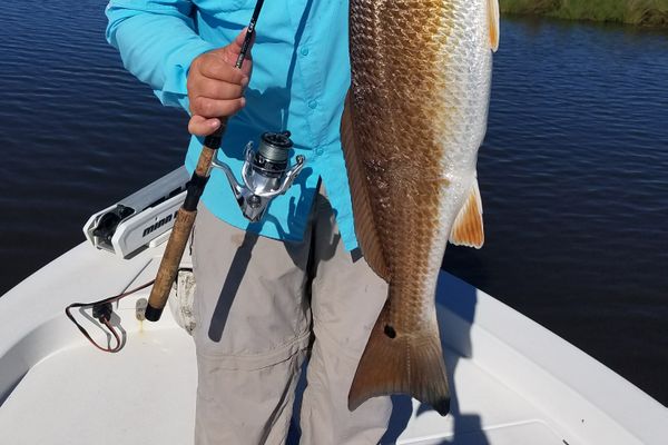 South Louisiana Redfish Fishing Charters