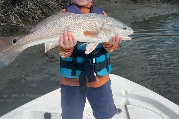 Fish Bluffton Dialed In Fishing Charters