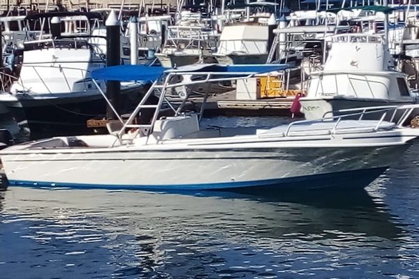 Sportfishing san jose del cabo