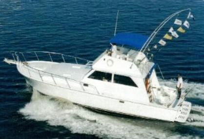 38 ft Custom Sportfisher Fishing Charter