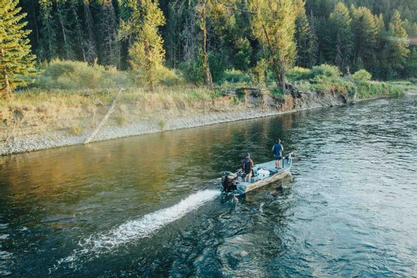 Guided Fly Fishing on the Bow River