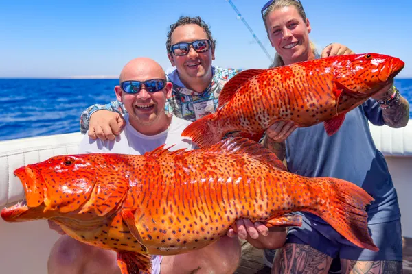 Reefer Sport Fishing