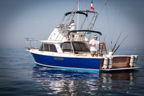 31 ft Magnifico Fishing Charter