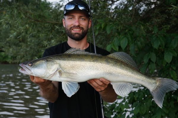 MULTI SPECIES Shore Spinning In Danube