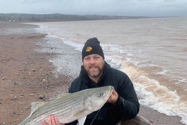 Striped Bass Surf Fishing