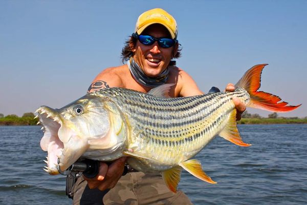 Tiger fishing on the Upper Zambezi River!