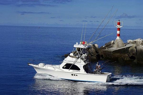 Boca Raton Madeira Fishing Charters