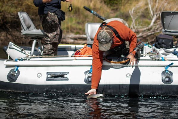 Fly fishing in Northern Patagonia