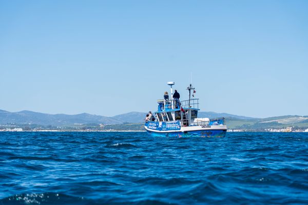 Gibraltar Blue Boat Fishing Trip