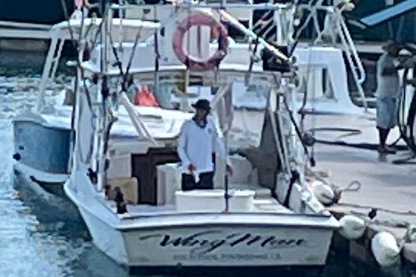 Wing Man Sportfishing