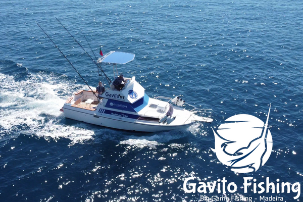 Gavito - Madeira Fishing Charters
