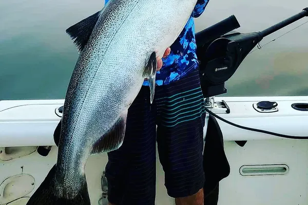 Wildcard Sport Fishing AM trip