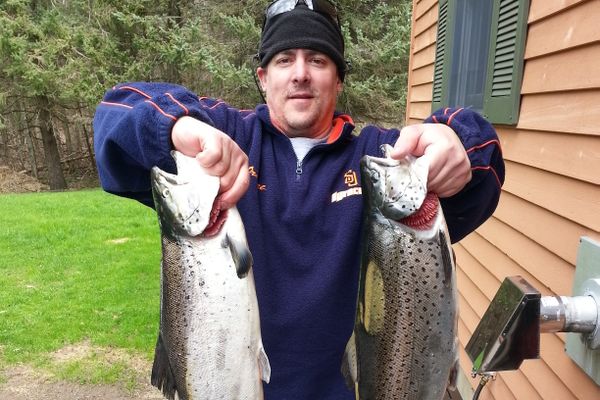 Pm Lake Ontario Brown Trout Fishing Trip