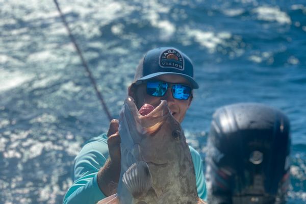 Inshore/Nearshore fishing charters Sarasota