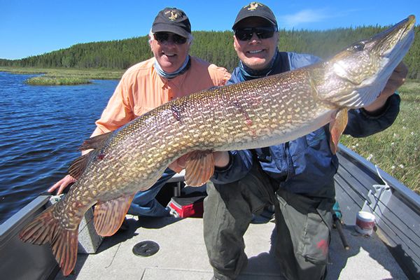 Wollaston Lake's Minor Bay Lodge