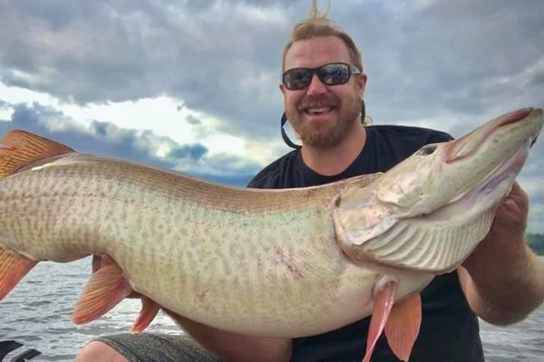 Saint John River Musky