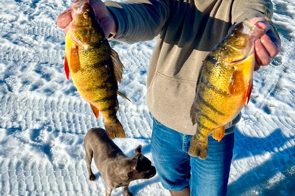 Snobear Ice Fishing Charter