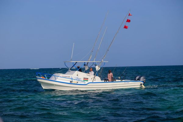 SEA SKIPPER FISHING CHARTERS