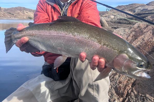 Patagonia -Collon Cura Lodge