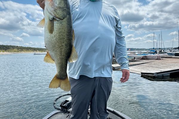 Canyon Lake Bass Fishing Guide