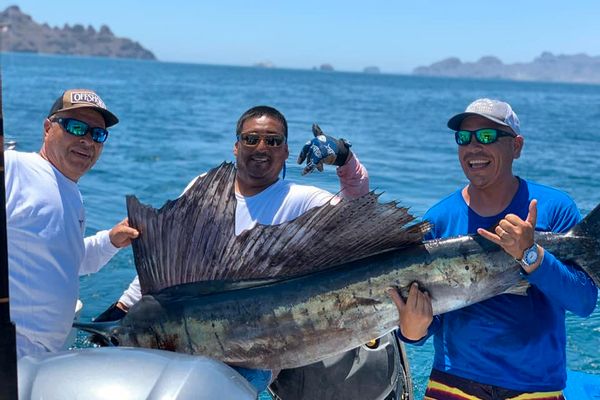 Ross Charters Sport Fishing Loreto BCS