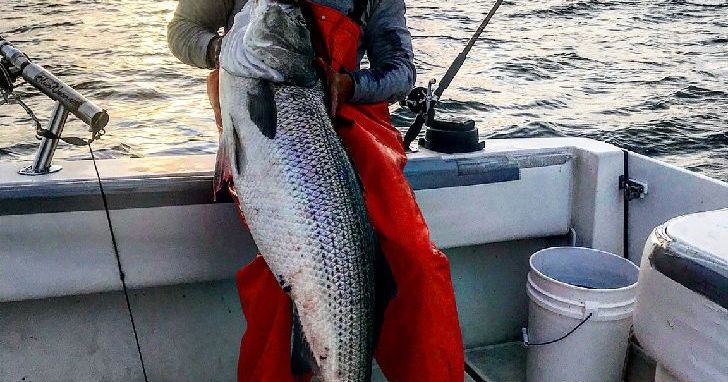 Whiting Fishing Charters in New Jersey