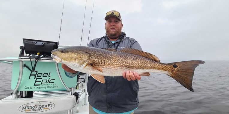 Sheephead  Reel Florida Fishing Charters