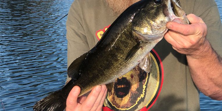 Private lake Largemouth Bass Fishing / Orlando, Florida, United