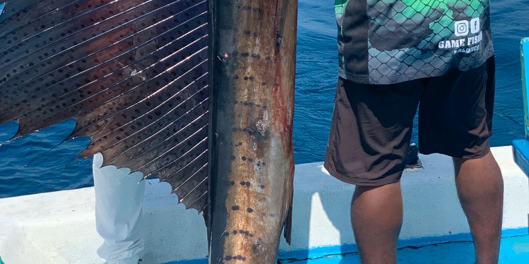 Game fisher Maldives