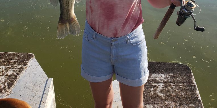 Bass Fishing in the Ozarks with Lodging!